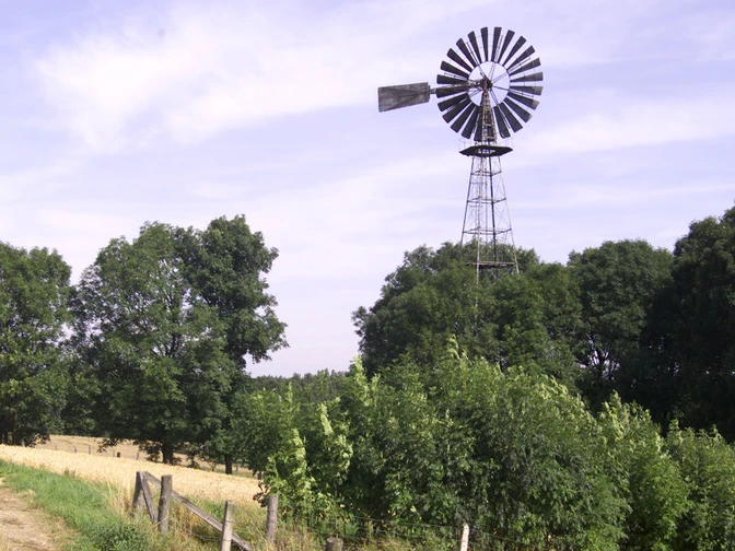 Windrad Ein Windrad erhebt sich über Bäumen, flankiert von einem Feld und einem Holzzaun unter blauem Himmel.