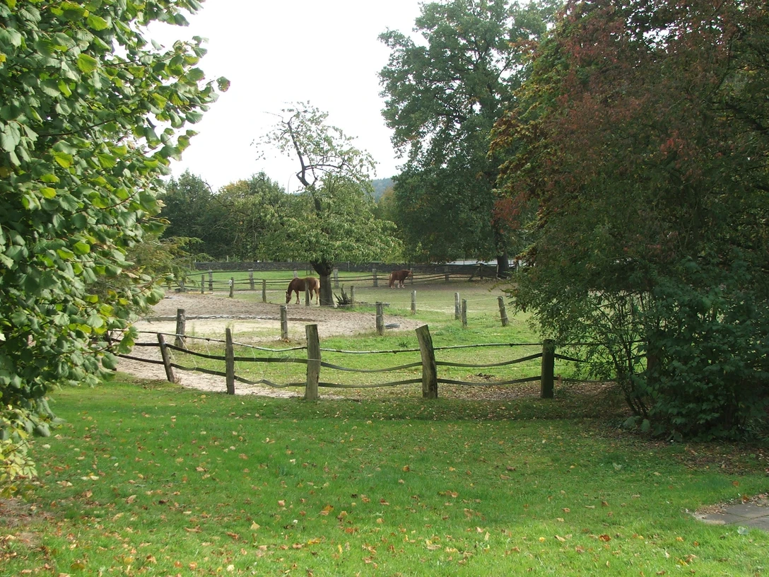 Weiträumige grüne Wiese mit Holzzaun, vereinzelt stehende Pferde, umgeben von Bäumen.