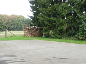 Parkplatz mit angrenzender Rasenfläche und Holzhaufen, umgeben von hohen Tannen und Wiesen.