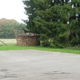 Parkplatz Haus Berkenkamp Parkplatz mit angrenzender Rasenfläche und Holzhaufen, umgeben von hohen Tannen und Wiesen.