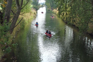 Mehrere Kanufahrer paddeln in roten Kanus auf einem ruhigen Fluss, umgeben von Bäumen.