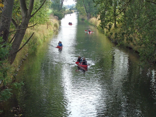 Mehrere Kanufahrer paddeln in roten Kanus auf einem ruhigen Fluss, umgeben von Bäumen.