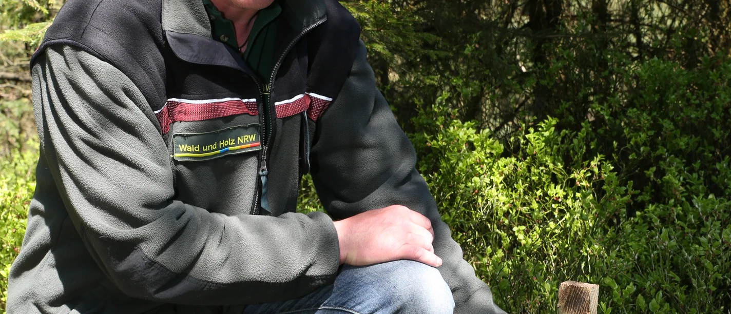 Lockstäbe für Wildkatzennachweis Ein Mann kniet im Wald, lächelt und berührt einen Holzstab, der im grünen Bewuchs steckt.