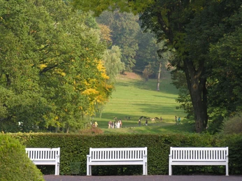 Park mit Wildgehege im Hintergrund Gräflicher Park mit Blick auf das Wildgehege im Hintergrund.