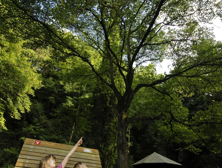 Zwei Kinder sitzen auf der Liegebank im Arboretum Bad Driburg.