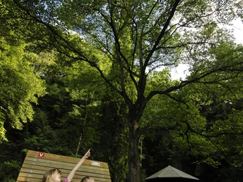 Arboretum Bad Driburg Zwei Kinder sitzen auf der Liegebank im Arboretum Bad Driburg.