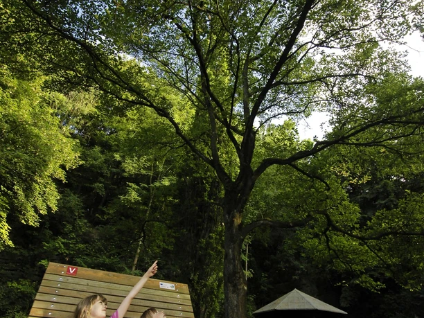 Arboretum Bad Driburg Zwei Kinder sitzen auf der Liegebank im Arboretum Bad Driburg.