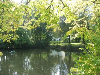 Über eine friedliche Teichlandschaft ragt das Grün der Bäume, gesäumt von ruhigen Spiegelungen.