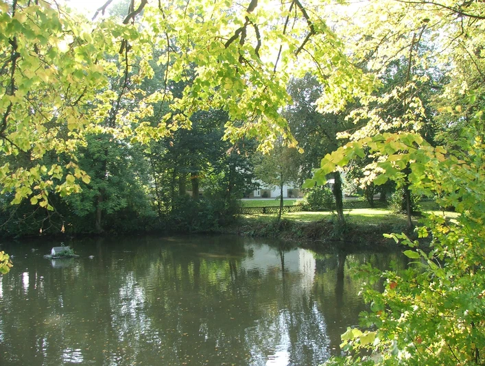 Gut Stapelage Über eine friedliche Teichlandschaft ragt das Grün der Bäume, gesäumt von ruhigen Spiegelungen.