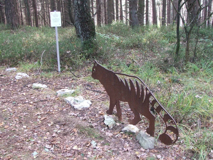 Schonraum für Wildkatzen Metallskulptur einer Wildkatze vor einer Infotafel in einem Waldgebiet, umgeben von Laub und Bäumen.