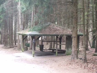 Überdachte Schutzhütte im Wald, umgeben von hohen Nadelbäumen, mit Bänken und rustikalem Charme.