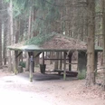 Überdachte Schutzhütte im Wald, umgeben von hohen Nadelbäumen, mit Bänken und rustikalem Charme.