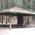 Schutzhütte Hermannsweg 3 Überdachte Schutzhütte im Wald, umgeben von hohen Bäumen, mit offener Bauweise und Holzbänken.