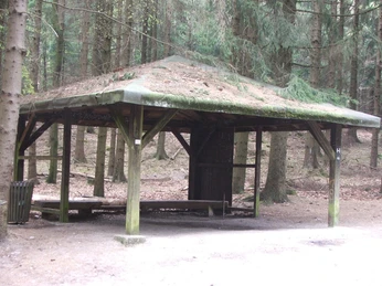 Schutzhütte Hermannsweg 3 Überdachte Schutzhütte im Wald, umgeben von hohen Bäumen, mit offener Bauweise und Holzbänken.