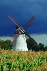 Historische Windmühle mit roten Flügeln inmitten eines Maisfeldes unter dramatischem Wolkenhimmel.