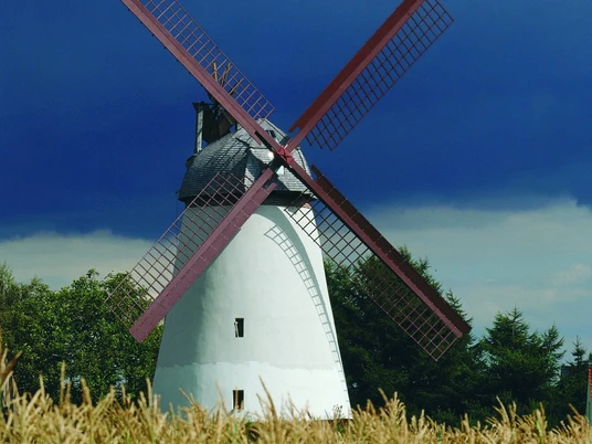 Historische Windmühle mit roten Flügeln inmitten eines Maisfeldes unter dramatischem Wolkenhimmel.