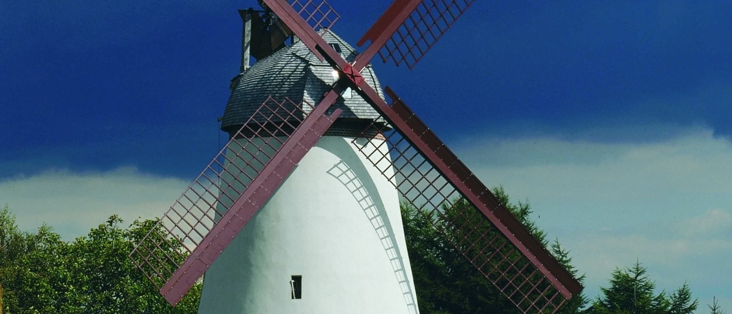 Valentinsmühle Minden-Todtenhausen Historische Windmühle mit roten Flügeln inmitten eines Maisfeldes unter dramatischem Wolkenhimmel.