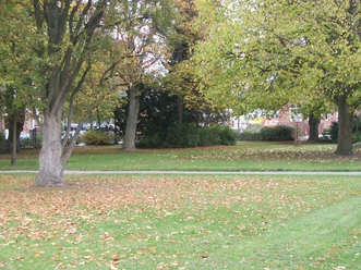 Sedanplatz Herbstliche Bäume mit fallendem Laub umgeben eine grüne Wiese am Sedanplatz in der Stadtmitte.