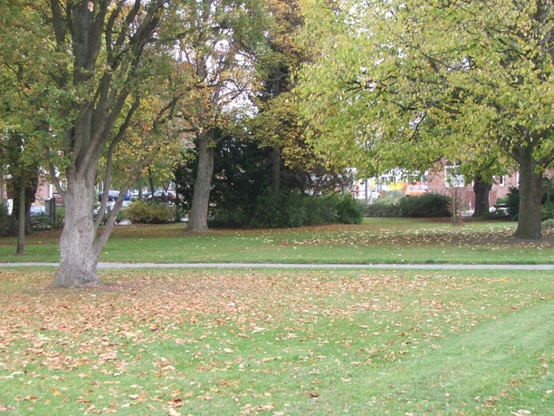 Sedanplatz Herbstliche Bäume mit fallendem Laub umgeben eine grüne Wiese am Sedanplatz in der Stadtmitte.