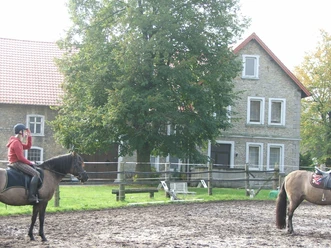 Reiter üben auf einem Pferdehof mit großen, steinernen Gebäuden und einem Baum im Hintergrund.