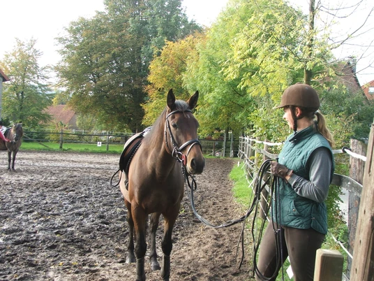Hof Hillbrink Pferd mit Reiterin auf matschigem Pfad, umgeben von Bäumen und einem Holzzaun auf Bauernhof.