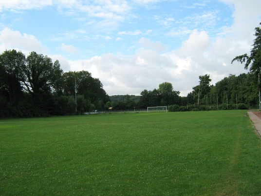 Grüne Sportanlage mit Fußballtoren, umgeben von dichten Bäumen unter bewölktem Himmel.