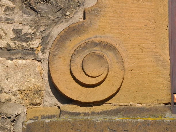 Steinernes Schneckenornament in Sandstein an einer historischen Gebäudefassade, rechts ein Fenster.