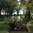 Friedhof Stapelage Eine ruhige Gedenkstätte mit gepflegten Gräbern, umgeben von hohen Bäumen und buntem Laub.