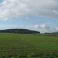 Breites Feld Weitläufiges grünes Feld unter bewölktem Himmel mit einem Wald am Horizont und Spaziergängern.