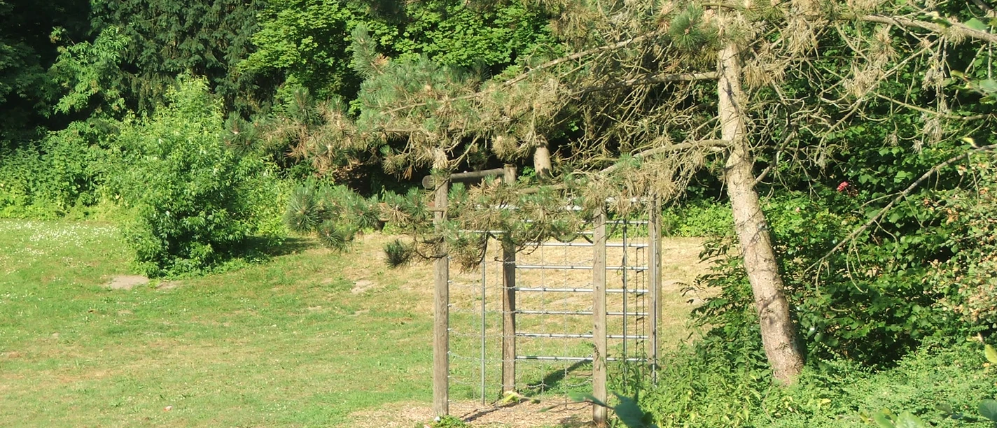 Klettergerüst aus Holz inmitten eines grünen Parks mit dichten Bäumen und Schattenbereichen.