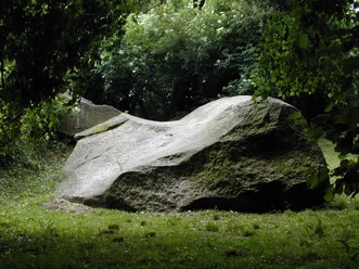 Großer Granitfelsen umgeben von Bäumen und Gras in einem naturbelassenen Waldgebiet.