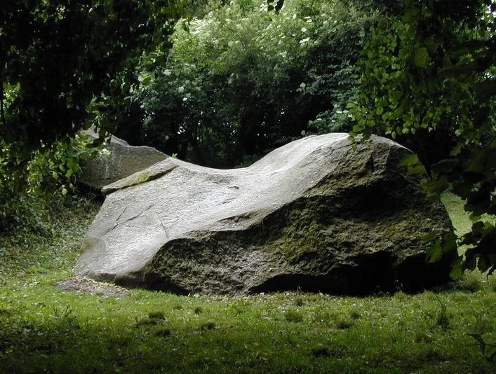 Johannissteine Großer Granitfelsen umgeben von Bäumen und Gras in einem naturbelassenen Waldgebiet.