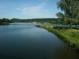 Blick auf den SchiederSee Weitläufiger See mit sanfter Uferlinie, umgeben von Wald und unter blauem Himmel gelegen.