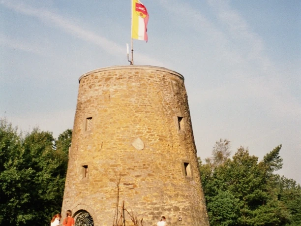 Kumsttonne Kreisrunde Ruine eines steinernen Turms mit Flagge auf der Spitze, umgeben von Wiese und Bäumen.