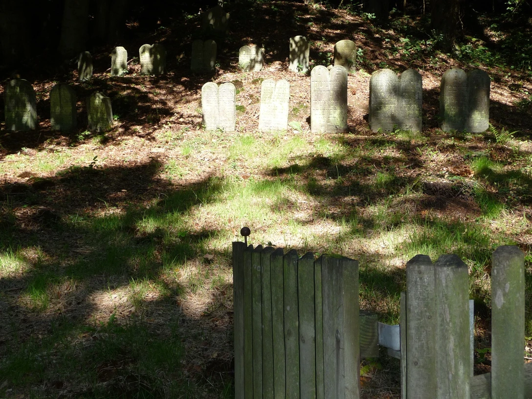 Grabsteine auf einem bewaldeten jüdischen Friedhof mit grünem Gras und hölzerner Einzäunung.