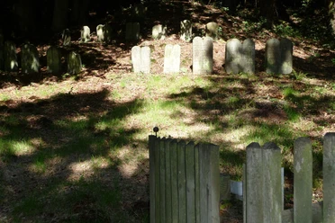 Jüdischer Friedhof Grabsteine auf einem bewaldeten jüdischen Friedhof mit grünem Gras und hölzerner Einzäunung.