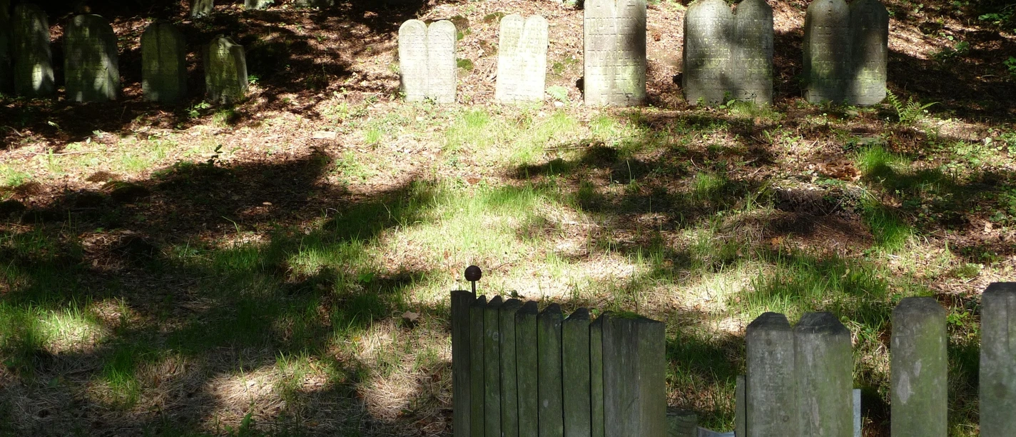 Jüdischer Friedhof Grabsteine auf einem bewaldeten jüdischen Friedhof mit grünem Gras und hölzerner Einzäunung.