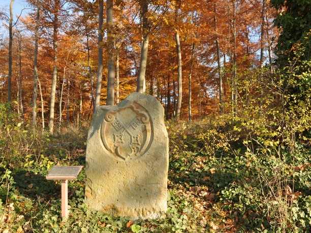 Grenzstein Hannover - Preußen am Stemweder Berg Stein mit Wappenmarkierung im herbstlichen Wald am Stemweder Berg, umgeben von orangenen Laubbäumen.
