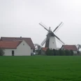 Historische Windmühle auf grüner Wiese, umgeben von traditionellen Gebäuden unter bewölktem Himmel.