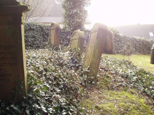 Jüdischer Friedhof Grabsteine unter Efeu auf einem sonnigen, ruhigen jüdischen Friedhof erinnern an eine vergangene Zeit.