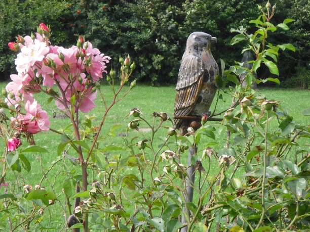 Skupltur Falke Eine Falkenskulptur aus Stein sitzt zwischen blühenden Rosen im Grünen.