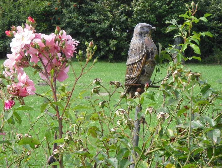 Skupltur Falke Eine Falkenskulptur aus Stein sitzt zwischen blühenden Rosen im Grünen.