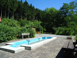 Ein Kneipp-Tretbecken im Freien, umgeben von grünen Bäumen und Sträuchern bei sonnigem Wetter.