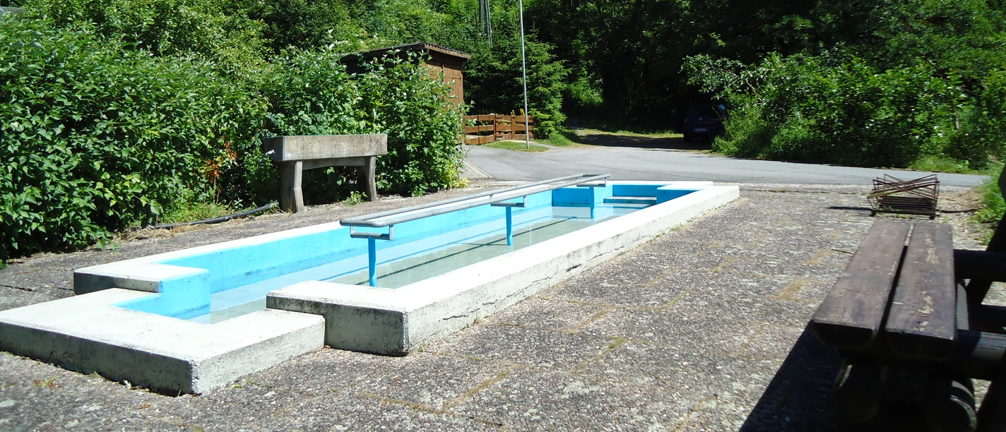 Ein Kneipp-Tretbecken im Freien, umgeben von grünen Bäumen und Sträuchern bei sonnigem Wetter.
