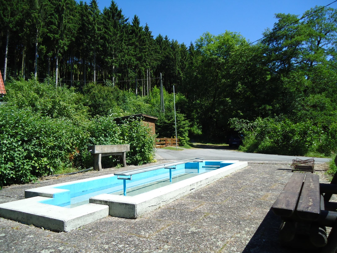 Kneipp Tretbecken Mühlenberg Ein Kneipp-Tretbecken im Freien, umgeben von grünen Bäumen und Sträuchern bei sonnigem Wetter.
