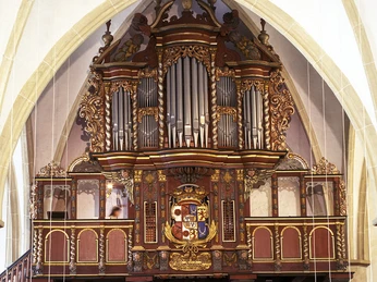 Alexanderkirche_Orgel Die prächtige Orgel der Alexanderkirche beeindruckt durch ihre kunstvollen Holzverzierungen und Pfeifen.