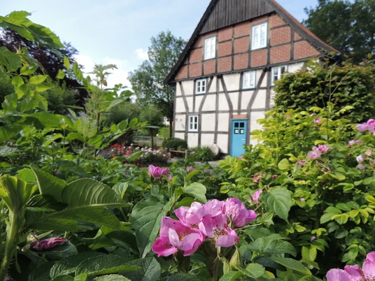 Corves Mühle - Tourist Info Historisches Fachwerkhaus mit blauer Tür, umgeben von blühenden Sträuchern und grünen Bäumen.