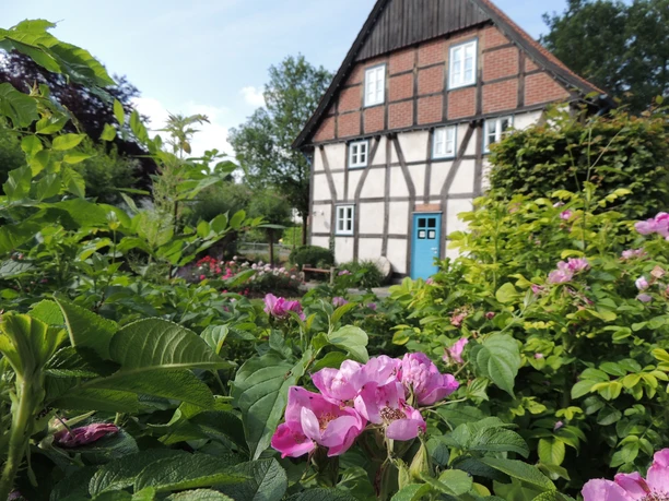 Corves Mühle - Tourist Info Historisches Fachwerkhaus mit blauer Tür, umgeben von blühenden Sträuchern und grünen Bäumen.