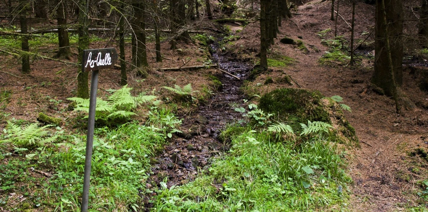 Die Aa-Quelle im Wald.