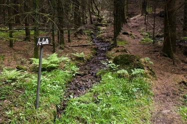 Aa-Quelle Die Aa-Quelle im Wald.